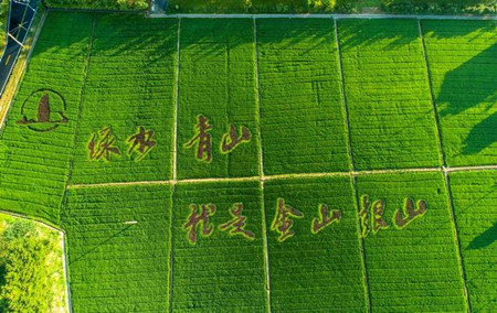 全国人大代表张天任：绿色经济是核心竞争力(图1)
